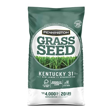 Picture of PENNINGTON 100543701 Pennington Kentucky 31 Tall Fescue Grass Seed 20 lb (EA)