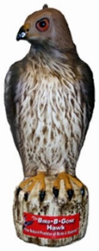 Picture of Bird B Gone MMRTH1 Bird-B-Gone Hawk Decoy (EA)