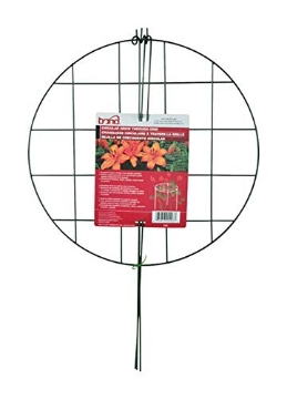 Picture of Bond Manufacturing 493 Bond 24 in. H Black Vinyl Plant Support (EA)