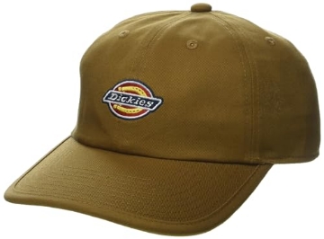 Picture of WILLIAM H. HARVEY COMPANY WHC107BDAL Dickies Men's Low Pro Logo Dad Hat, Brown Duck, AL (EA)