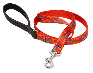 Picture of Lupine Collars & Leads 41009 LupinePet Originals 3/4" Go Go Gecko 6-Foot Padded Handle Leash for Medium and Larger Dogs (EA)