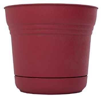 Picture of Bloem, Lcc. SP1013 Bloem SP1012 Saturn Planter, 10-Inch, Union Red (EA)