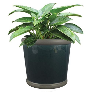 Picture of TRENDSPOT INC CR10564-09E Trendspot 9" Bellville Crock Ceramic Planter- Blue (EA)