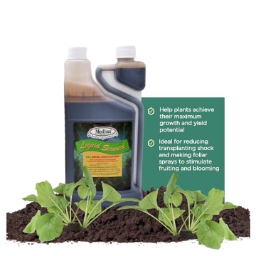 Picture of MEDINA GLASS BLOCK INC SEAWEED 12/1 QT Medina Liquid Seaweed Fertilizer for Plants - Concentrated Seaweed Fertilizer for Lawn and Garden - Enhances Plant Growth and Soil Health - Ready to Spray - 1 Quart Covers 16000 Sq. Ft. (EA)