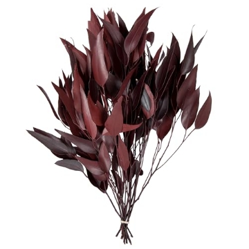 Picture of Vickerman H1WIL475 Vickerman 18" Red Weeping Willow Eucalyptus - 5-6 oz Per Pack - Red Preserved Foliage Floral Decor - Burgundy Fall Decor - Natural Botanicals - Weeping Willow (EA)