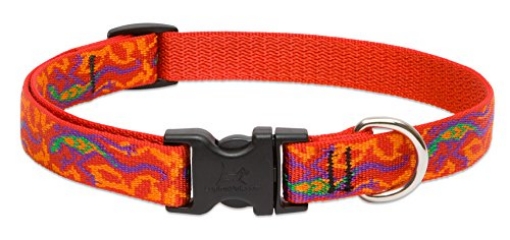Picture of Lupine Collars & Leads 41002 LupinePet Originals 3/4" Go Go Gecko 13-22" Adjustable Collar for Medium and Larger Dogs (EA)