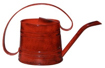 Picture of ROBERT ALLEN MPT01507 WATER CAN CAYENNE .5GL (EA)