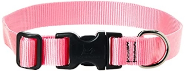 Picture of Lupine Collars & Leads 57552 LupinePet Basics 1" Pink 12-20" Adjustable Collar for Medium and Larger Dogs (EA)