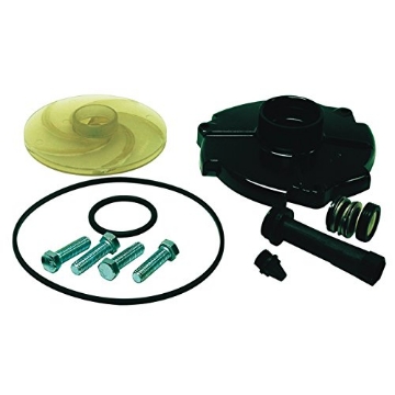 Picture of Parts 2 O FPPKS100-P2 Pentair Repair KIT ACE 10S by Parts 2 O MfrPartNo FPPKS100-P2 (EA)