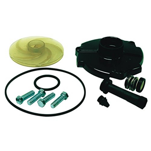 Picture of Parts 2 O FPPKS100-P2 Pentair Repair KIT ACE 10S by Parts 2 O MfrPartNo FPPKS100-P2 (EA)