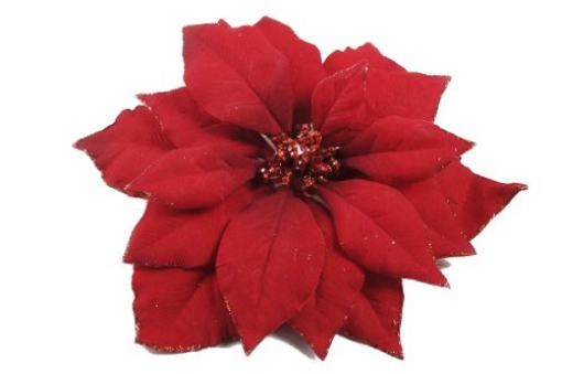 Picture of DECORIS 629332 CLIP POINSETTIA RED (PK-24-EA)