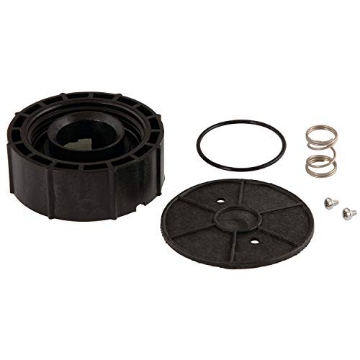 Picture of WATTS RK 800M4 B-1 Watts 1" Pressure Vacuum Breaker Bonnet Assembly Kit, 800M4-B (EA)