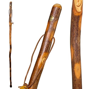 Picture of DMS HOLDINGS INC. 602-3000-1125 Free form Hickory Walking Stick-48 (EA)