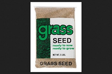 Picture of BARENBRUG 90205 Barenbrug Annual Ryegrass Grass Seed 5 lb. (EA)