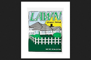 Picture of BARENBRUG 90210 Barenbrug Annual Ryegrass Sun/Partial Shade Grass Seed 10 lb. (EA)