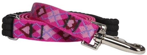 Picture of Lupine Collars & Leads 14209 Lupine Pet Original Designs Multicolor Puppy Love Nylon Dog Leash (EA)