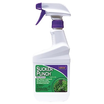 Picture of BONIDE PRODUCT 2761 Bonide Sucker Punch, 16 oz Ready-to-Use Spray, Control Unwanted Plant Sprouts, Plant Growth Regulator for Home Garden (EA)