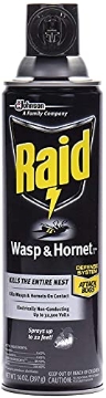 Picture of SJN SJN668006 Raid Wasp Hornet Killer Spray (14 Ounce (Pack of 1) (EA)