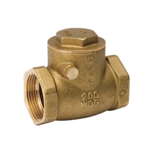 Picture of HOMEWERKS 240-2-2 2" CHECK VALVE (EA)
