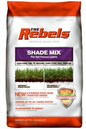 Picture of PENNINGTON 100543727 SEED SHADY TL FESCUE20# (EA)