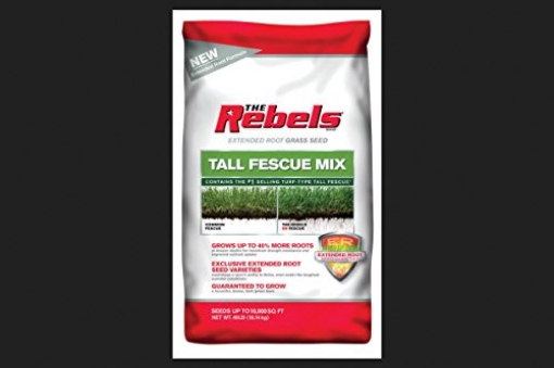 Picture of PENNINGTON 100543731 REBEL TALL FESCUE 40 LB (EA)