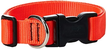 Picture of Lupine Collars & Leads 52553 LupinePet Basics 1" Blaze Orange 16-28" Adjustable Collar for Large Dogs (EA)