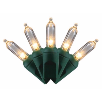 Picture of Celebrations T550WW6A Celebrations T5 50L Warm White (PK-12-EA)