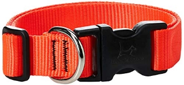 Picture of Lupine Collars & Leads 52552 LupinePet Basics 1" Blaze Orange 12-20" Adjustable Collar for Medium and Larger Dogs (EA)