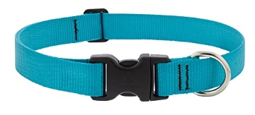 Picture of Lupine Collars & Leads 15052 Lupine Dog Collar 1" Wide Aqua adjusts 12-20" Long (EA)