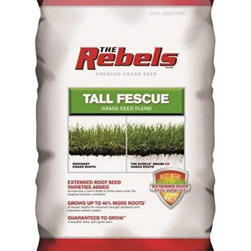 Picture of PENNINGTON 100543729 PENNINGTON SEED 100526885 Fescue Seed (EA)