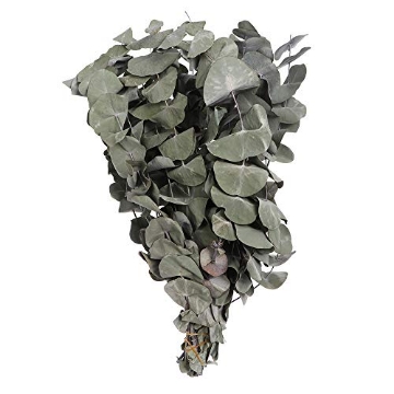 Picture of FASTENMASTER CTXCL-TX1LFSLPB OMICE Colorful Wedding Decor Photo Props Natural Material Real Flower Eucalyptus Plant Stems Natural Dried Bouquets(Type 6) (EA)