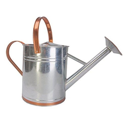 Picture of PANACEA PRODUCTS 84895 PANACEA PRODUCTS 84895 Galvanized Steel Watering Can with Accent, Silver/Copper (EA)