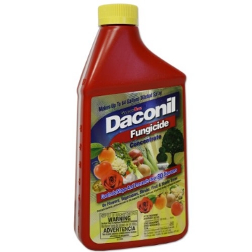Picture of GARDENTECH 100536524 Daconil® Fungicide Concentrate for Insects 16 oz. - 100523634 (EA)