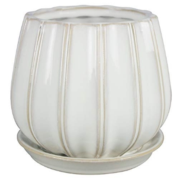 Picture of TRENDSPOT INC AHCR01137S-06W TRENDSPOT Contour 6 in. Dia. Ceramic Planter White - Case of: 2;2 (PK-2-EA)