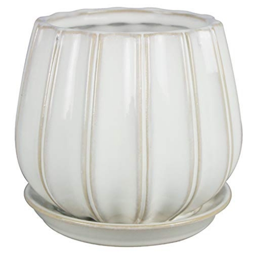 Picture of TRENDSPOT INC AHCR01137S-06W TRENDSPOT Contour 6 in. Dia. Ceramic Planter White - Case of: 2;2 (PK-2-EA)