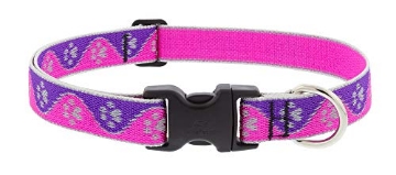 Picture of Lupine Collars & Leads 48552 Lupine Reflective Dog Collar 1" Wide Pink Paws Adjusts from 12" to 20" (EA)