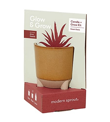 Picture of MODERN SPROUT LLC MS-GBC-1010 Modern Sprout Glow and Grow Kit - 2 in 1 Scented Candle That Grows into a Aloe Plant - 12 oz Soy Candle with 78 hr Burn time in Glaze Ceramic Vessel - Candle Planter Ideal for Home Decor Aesthetic (EA)