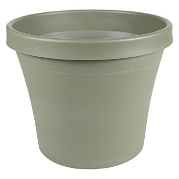 Picture of Bloem, Lcc. 50424 Bloem Terra Plastic Round Pot Planter (EA)