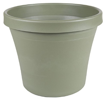 Picture of Bloem, Lcc. 50406 Bloem Terrapot 5.5 in. H x 6 in. Dia. Resin Traditional Thyme Green Planter (EA)