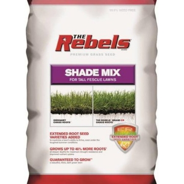 Picture of PENNINGTON 100543725 PENNINGTON SEED 100526878 Fescue Seed (EA)