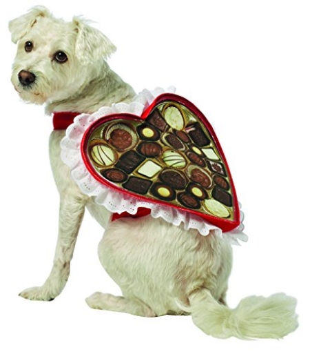 Picture of Rasta Imposta GC5001XS Rasta Imposta Chocolate Box Dog Costume, X-Small (EA)