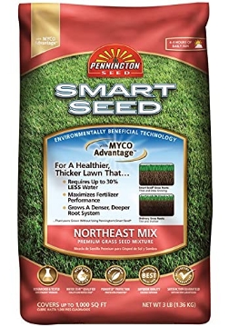 Picture of PENNINGTON 100543706 Pennington Smart Seed Northeast Mix Grass Seed 3 lb. (EA)