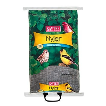Picture of KAYTEE PRODUCTS INC. 100033693 Kaytee Nyjer Seed 20-Lb (EA)