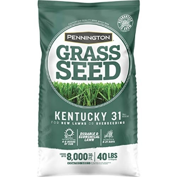 Picture of PENNINGTON 100537715 Pennington Kentucky 31 Tall Fescue Medium Shade Grass Seed 40 lb. - Case of: 1; (EA)