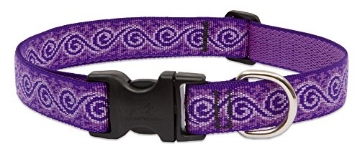 Picture of Lupine Collars & Leads 96953 Large Dog Collar by Lupine 1" Wide Jelly Roll Design adjusts from 16" to 28" (EA)