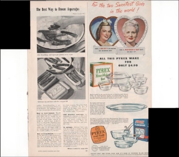 Picture of Performance Design Products F3MCH5G 5 Gal Penofin F3MCH5G Chestnut Red Label Ultra Premium Stain (250-VOC) (EA)