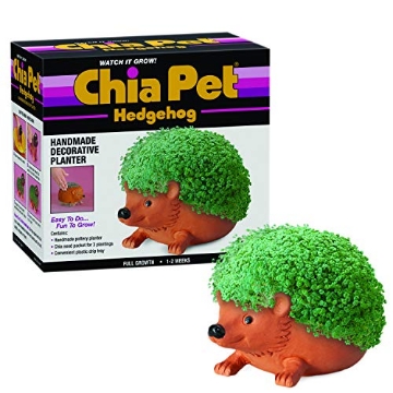 Picture of CHIA PET CP438A16 Chia Pet Hedgehog with Seed Pack, Decorative Pottery Planter, Easy to Do and Fun to Grow, Novelty Gift, Perfect for Any Occasion, Terra Cotta (EA)