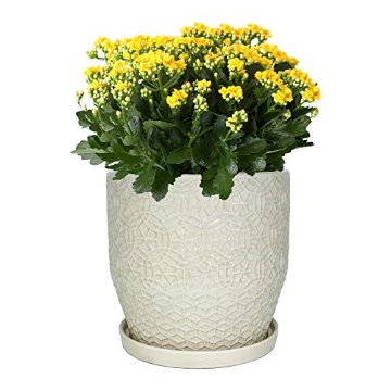 Picture of TRENDSPOT INC AHCR10853-10B Trendspot CR10853-10B Planter, White (PK-2-EA)
