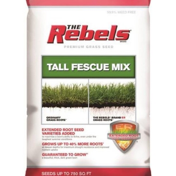 Picture of PENNINGTON 100543728 PENNINGTON SEED 100526887 Fescue Seed (EA)
