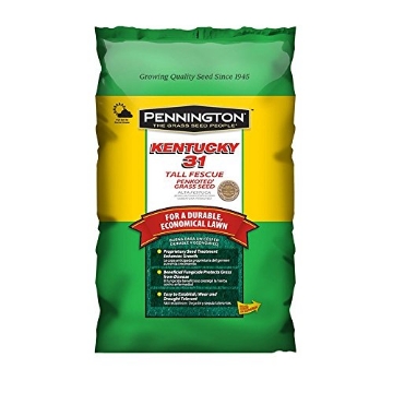 Picture of PENNINGTON 100516048 Pennington Kentucky 31 Tall Fescue Penkoted Grass Seed 3 lb (EA)